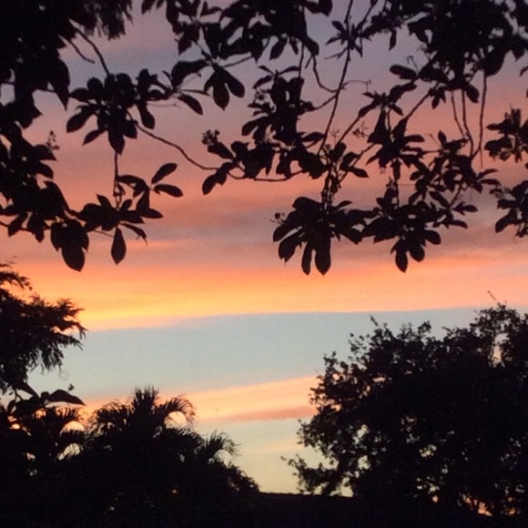 Meet your Posher, Jackie - Picture 1 of 1